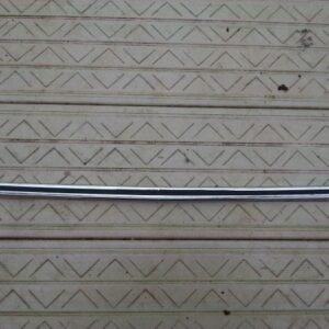 1978-1980 Monte Carlo Lower License Plate Pocket Trim Molding