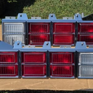 1979-1980 Monte Carlo Tail Light Set!